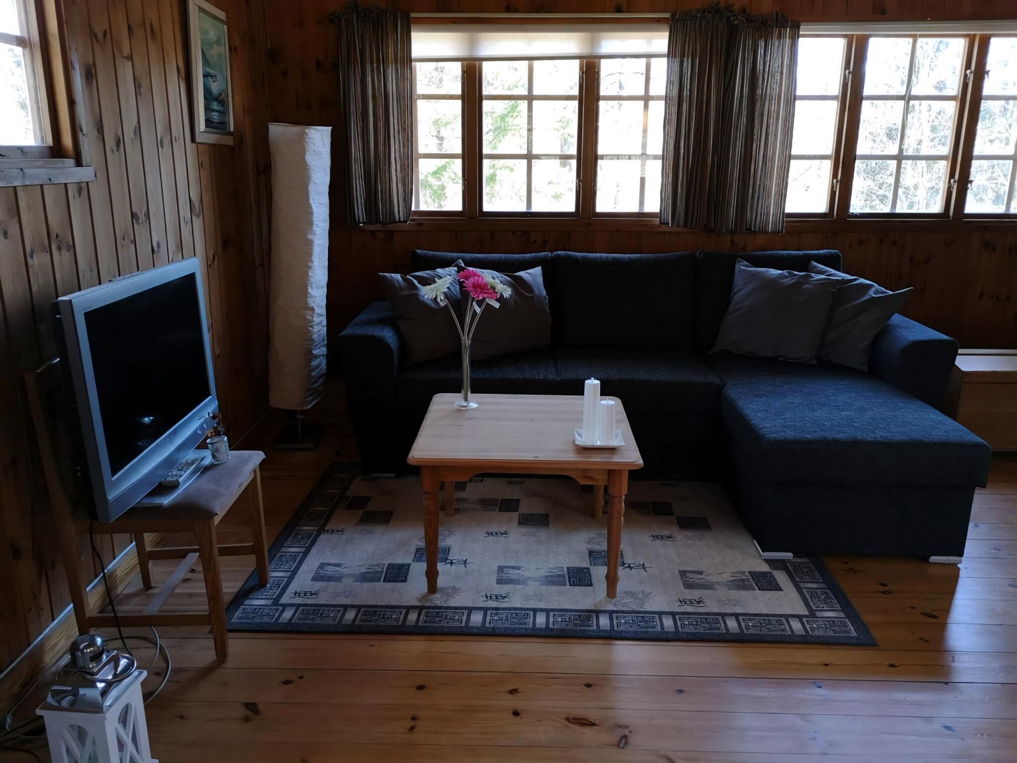 Televisión y chimenea 
