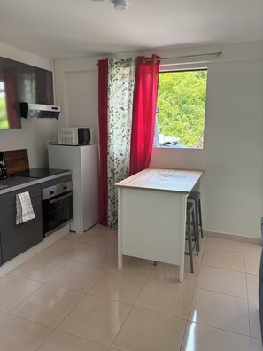 Private kitchen - Cosy T1 in the countryside (Sainte-Anne)