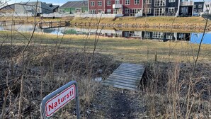 Billede uden beskrivelse, 5 af 12, knap