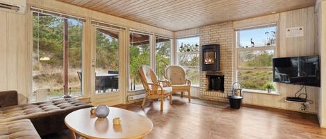 暖炉、DVD プレーヤー