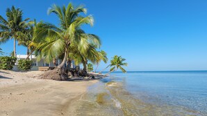 A beach with clear water, palm trees, and a building with a sandy beach. - Front beach Charming apartments 2-bedroom apartment  in Cabo Rojo (Cabo Rojo)