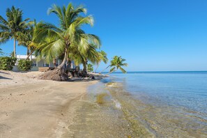 A beach with clear water, palm trees, and a building with a sandy beach.