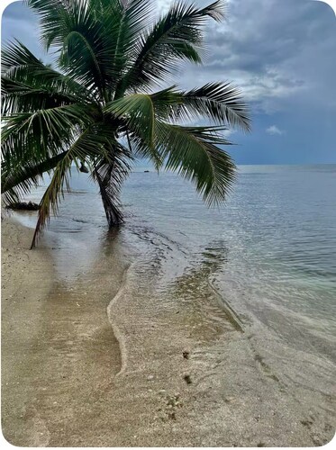Front beach Charming apartments 2-bedroom apartment  in Cabo Rojo