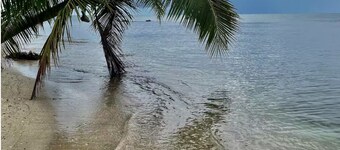 Front beach Charming apartments 2-bedroom apartment in Cabo Rojo