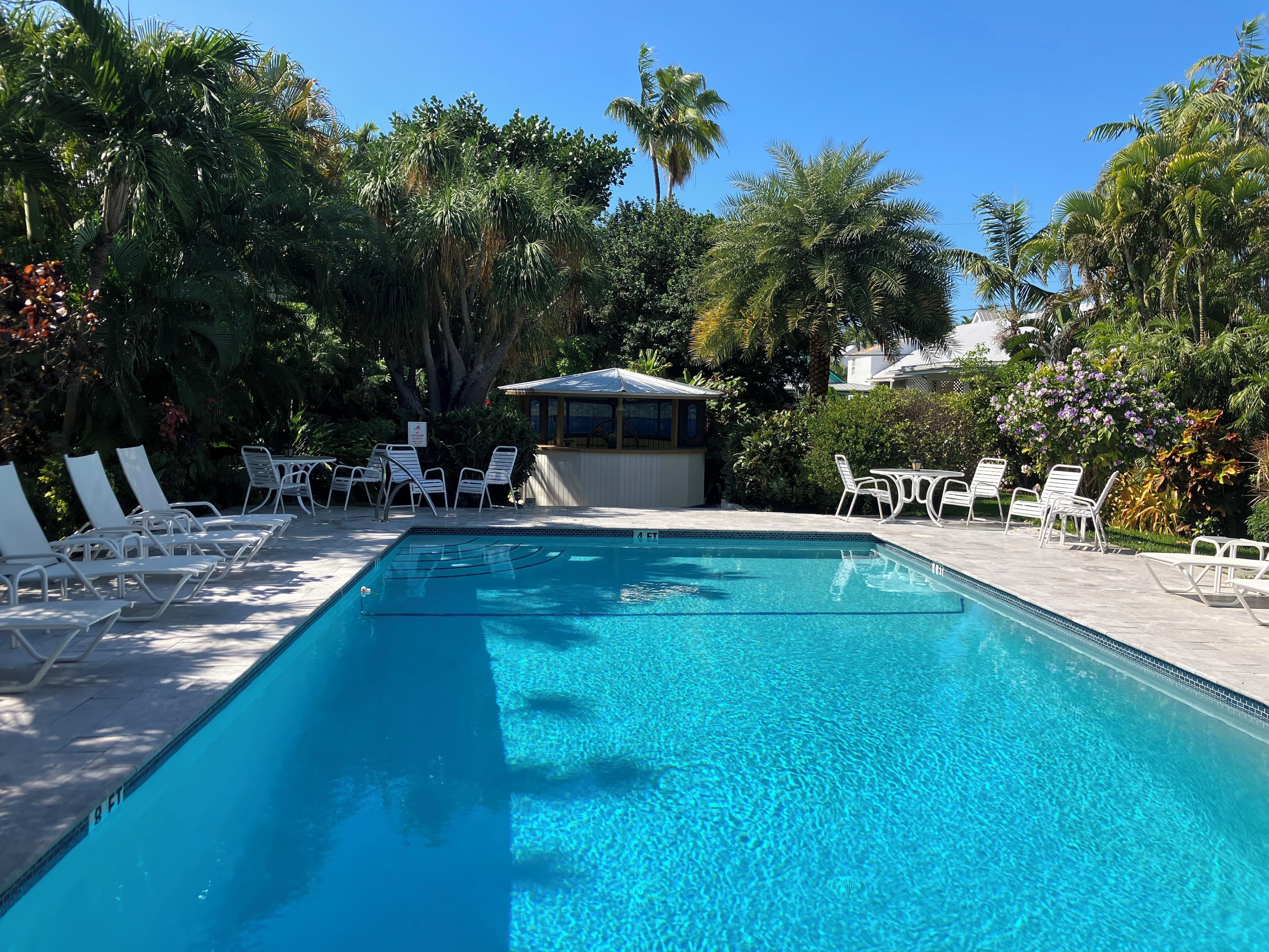 Ein Swimmingpool mit klarem, blauem Wasser, umgeben von weißen Liegestühlen und einer kleinen Bar.