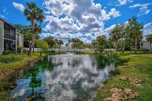 Property grounds - 1 BR/1 Bath overlooking the pool, centrally located in Sarasota (Sarasota)