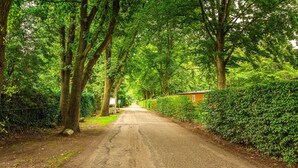 A rural road flanked by dense green foliage and a small building with a red roof. - Lovely home in Erm with WiFi (Erm)