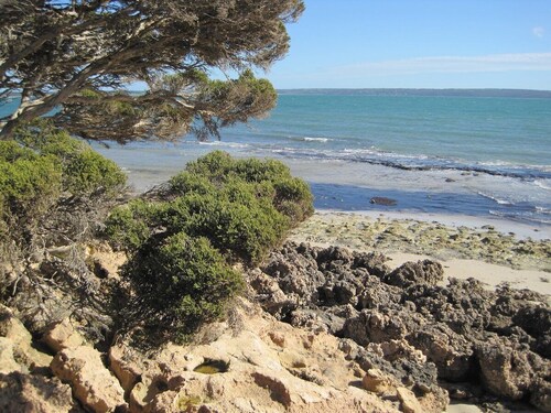 Wallaby Beach House | 15% Off Weekly!