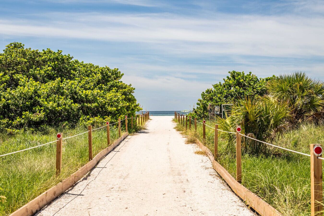 Un sendero arenoso bordeado de vegetación que conduce a una playa.