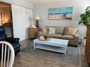 TV - Beachy Life - Sand Sea & Sunsets (St. Pete Beach)