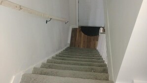 A carpeted staircase with a handrail and a wooden door at the top.