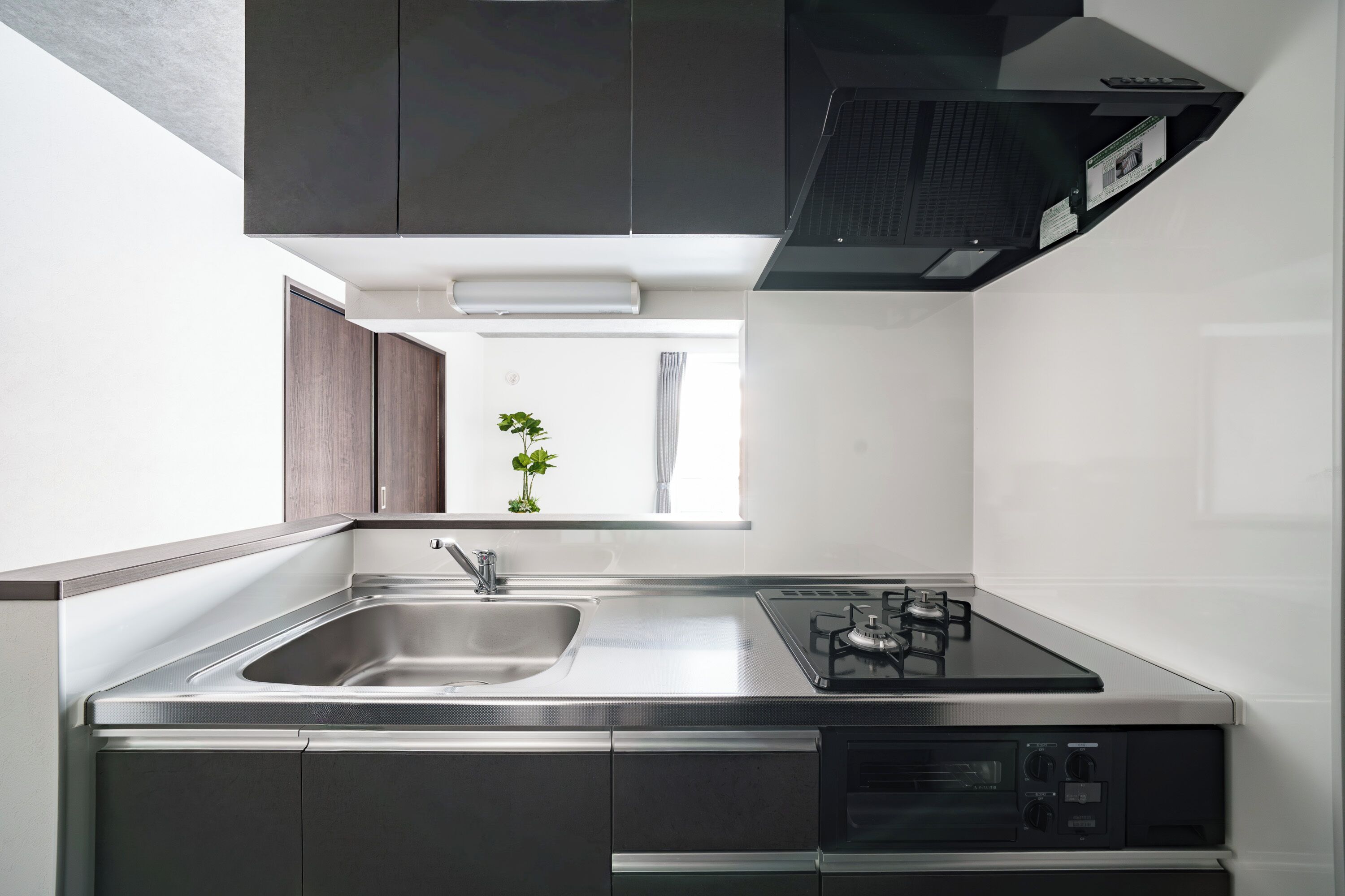 Apartment | Private kitchen | Microwave, stovetop, rice cooker, toaster oven