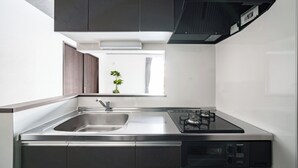 A modern kitchen with a stainless steel sink, gas stove, and dark cabinetry. - HILLS NISEKO 105 (Niseko)