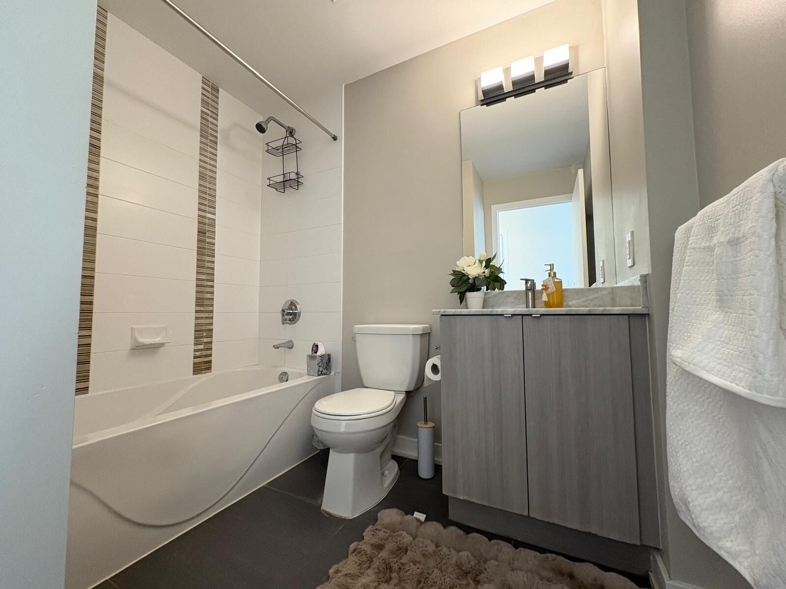 Secador de pelo, jabón, papel higiénico