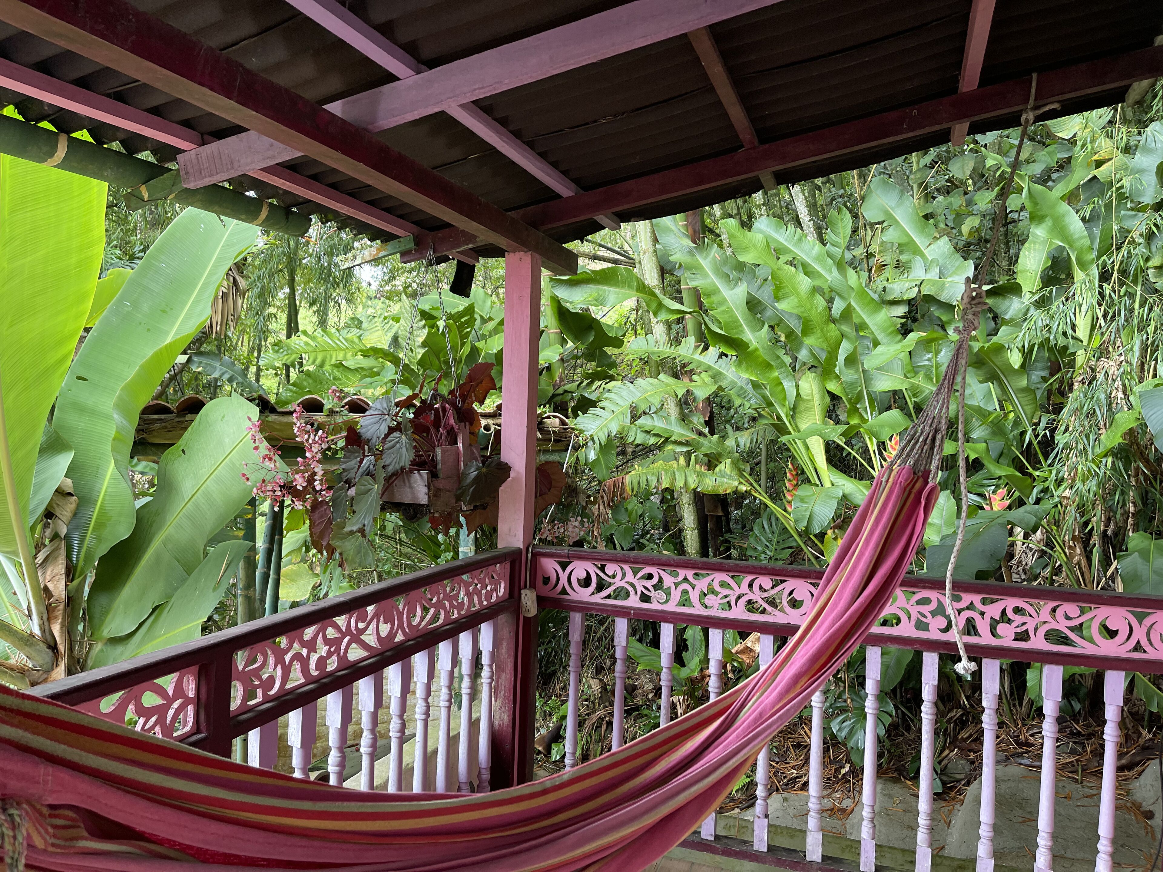 Camera quadrupla, vista lago | Parco della struttura