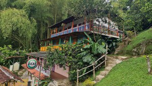 A two-story building with a balcony, surrounded by lush greenery and a steep hillside. - Aldea Los Pioneros (Venecia)