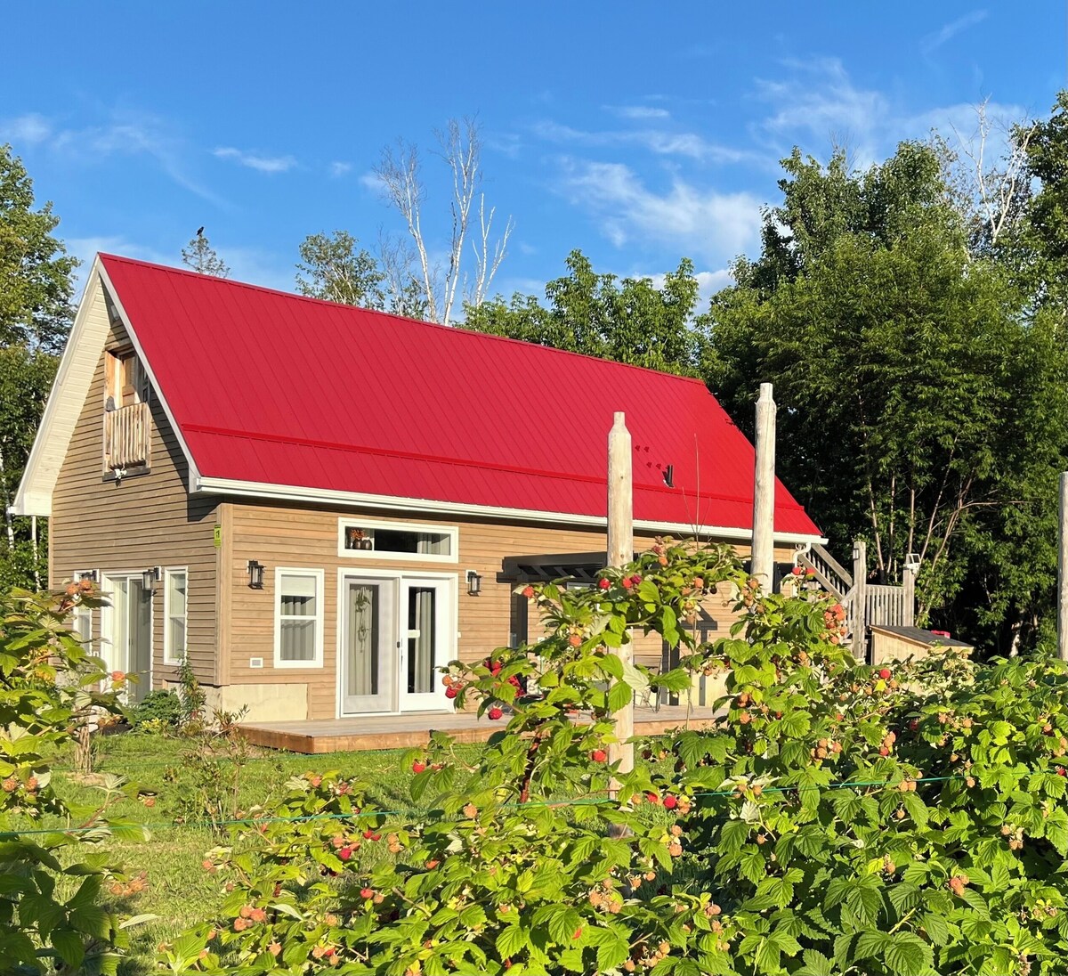 Image de profil de l’hôte