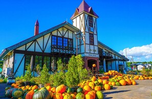 Land view from property - HILLS NISEKO E (Niseko)