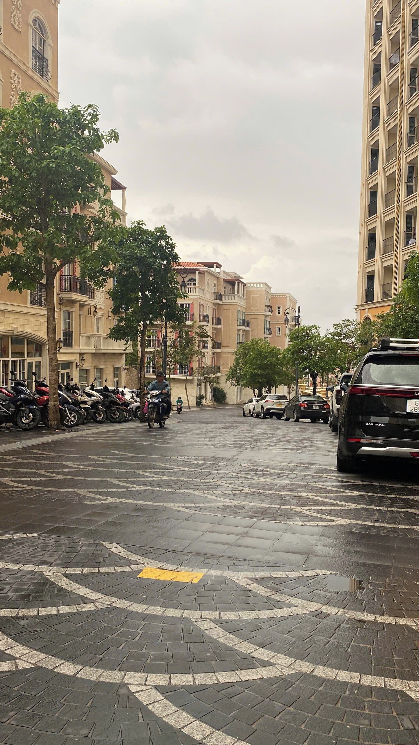 Une rue mouillée, bordée de voitures et de motos garées, des immeubles avec des balcons et un trottoir bordé d’arbres.