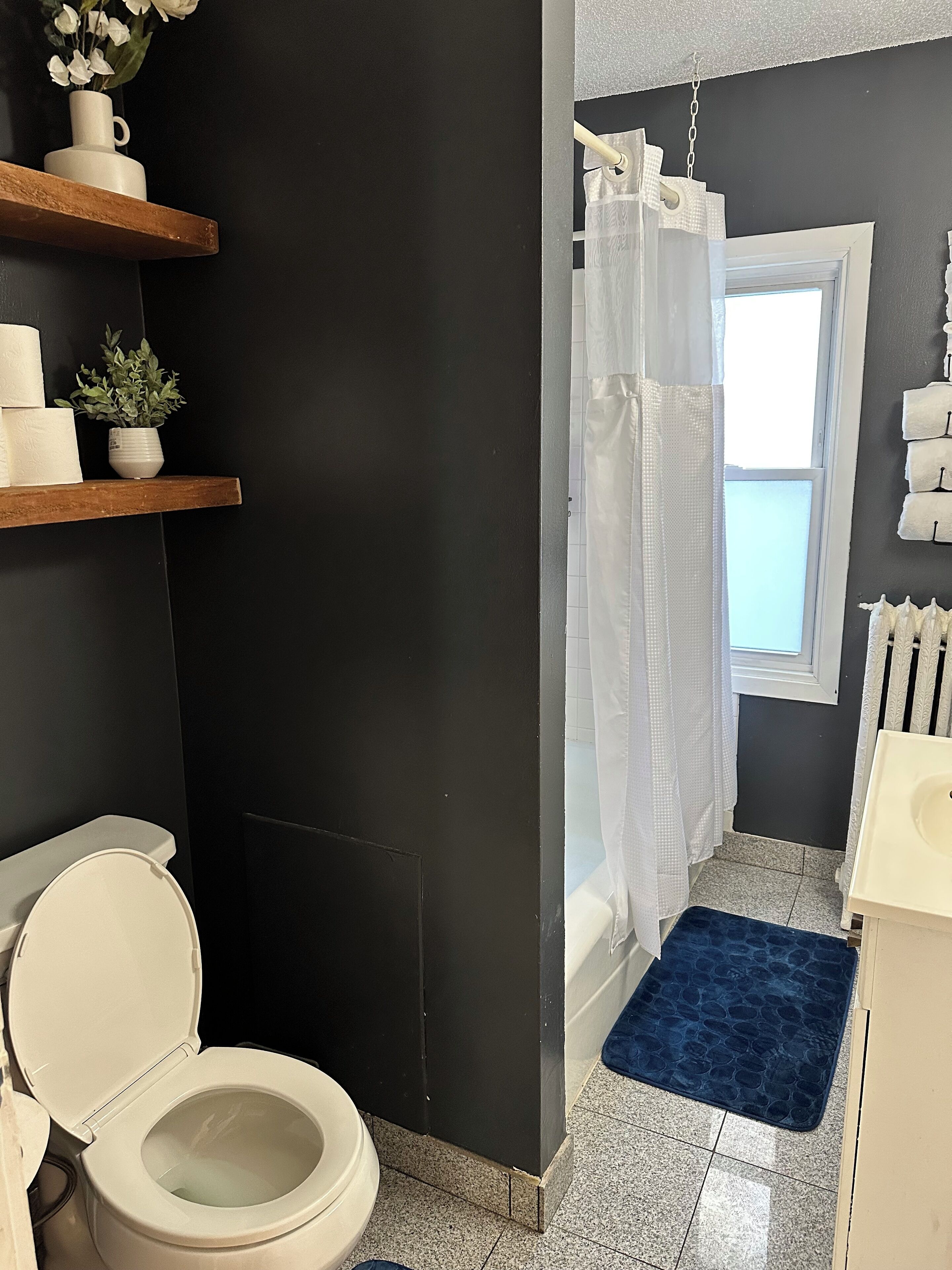 Hair dryer, towels, soap, toilet paper