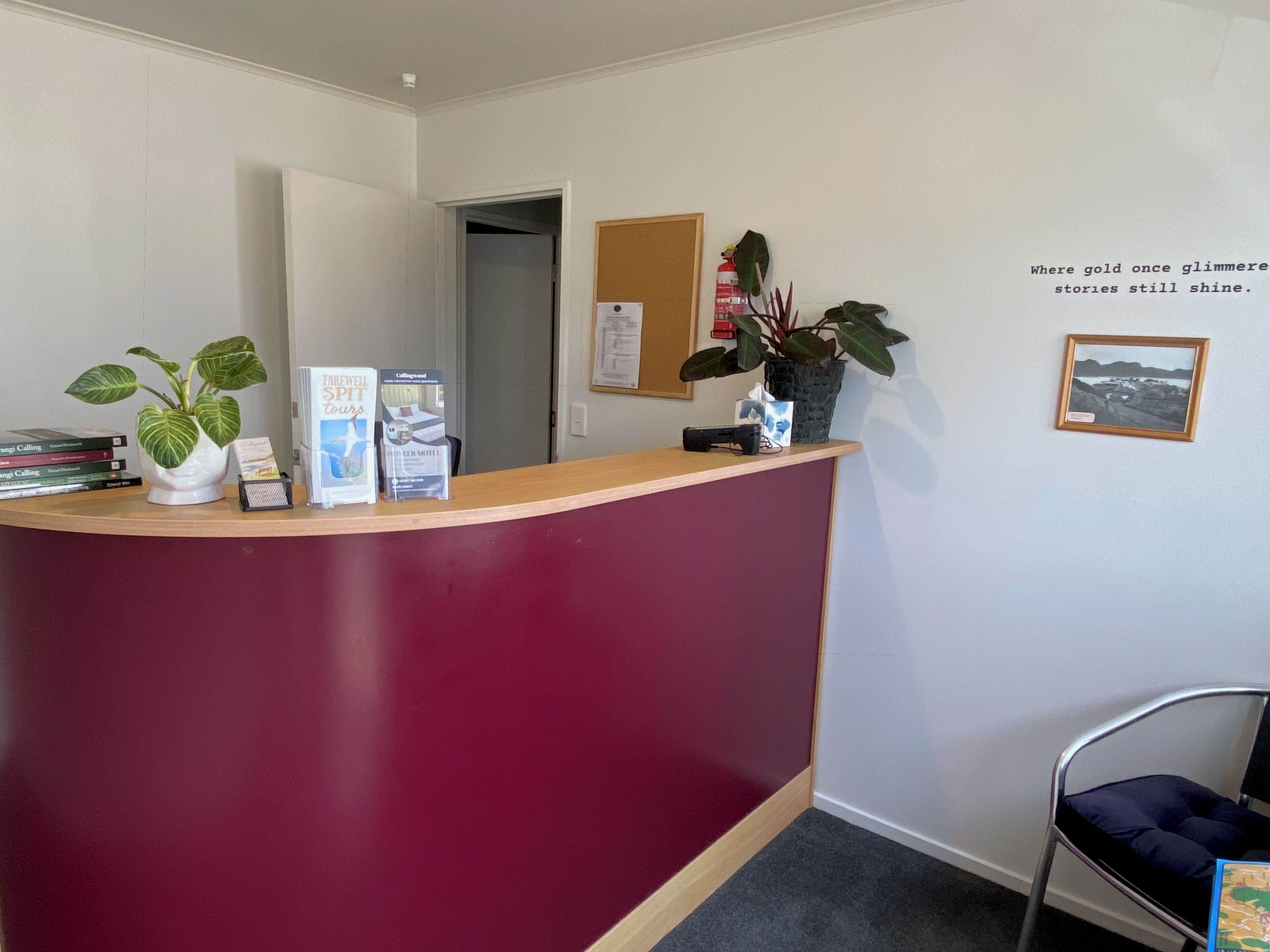 A reception desk with a red panel, a potted plant, brochures, and a framed picture on the wall.