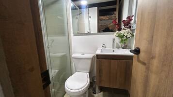 A compact bathroom with a glass-enclosed shower, a white toilet, and a wooden vanity with a mirror.