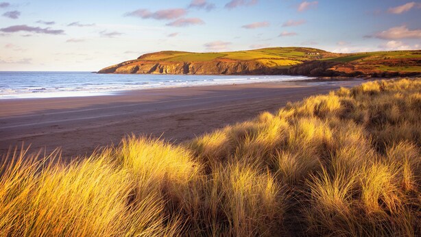 A beach with grassy dunes and a hilly landscape in the background. - Craig y Mor, Holiday Cottage Newport, Sleeps 10, 5 bedrooms,  bathrooms (Newport)