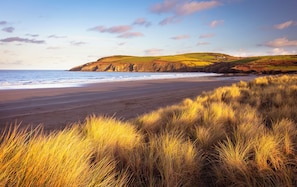 Ein Strand mit grasbewachsenen Dünen und einer hügeligen Landschaft im Hintergrund.