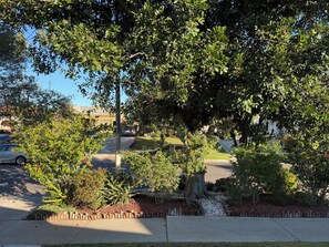 Property grounds - 3-bedroom house in nice Los Angeles with cool AC (Los Angeles)