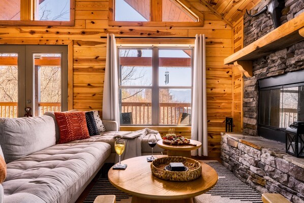 Smart TV, fireplace, books