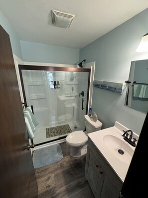 Hair dryer, towels, soap, toilet paper - Spacious 4BR Accessible Lake House w/ Dock Access, Pontoon & Hosting Spaces (Fremont)