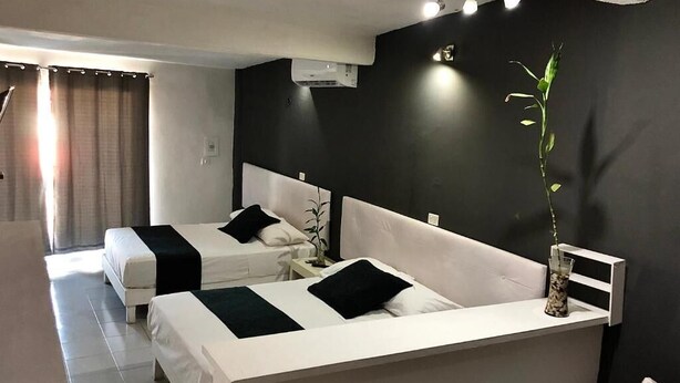 A hotel room with two beds, a large window with curtains, a plant, and a white headboard. - zyan Rooms (Villahermosa)
