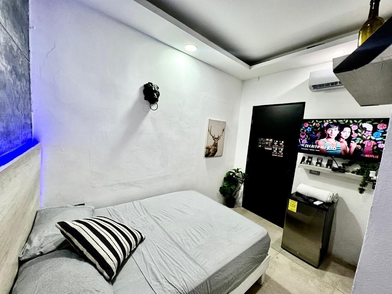 Un dormitorio con una cama, un televisor instalado en la pared, una puerta y una planta pequeña.