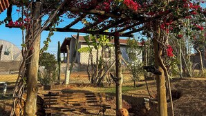 A garden with a wooden pergola covered in red flowers, a wooden bench, and a cactus. - Country house with pool and beautiful gourmet area near Holambra. (Artur Nogueira)