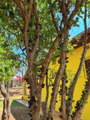 Área da propriedade