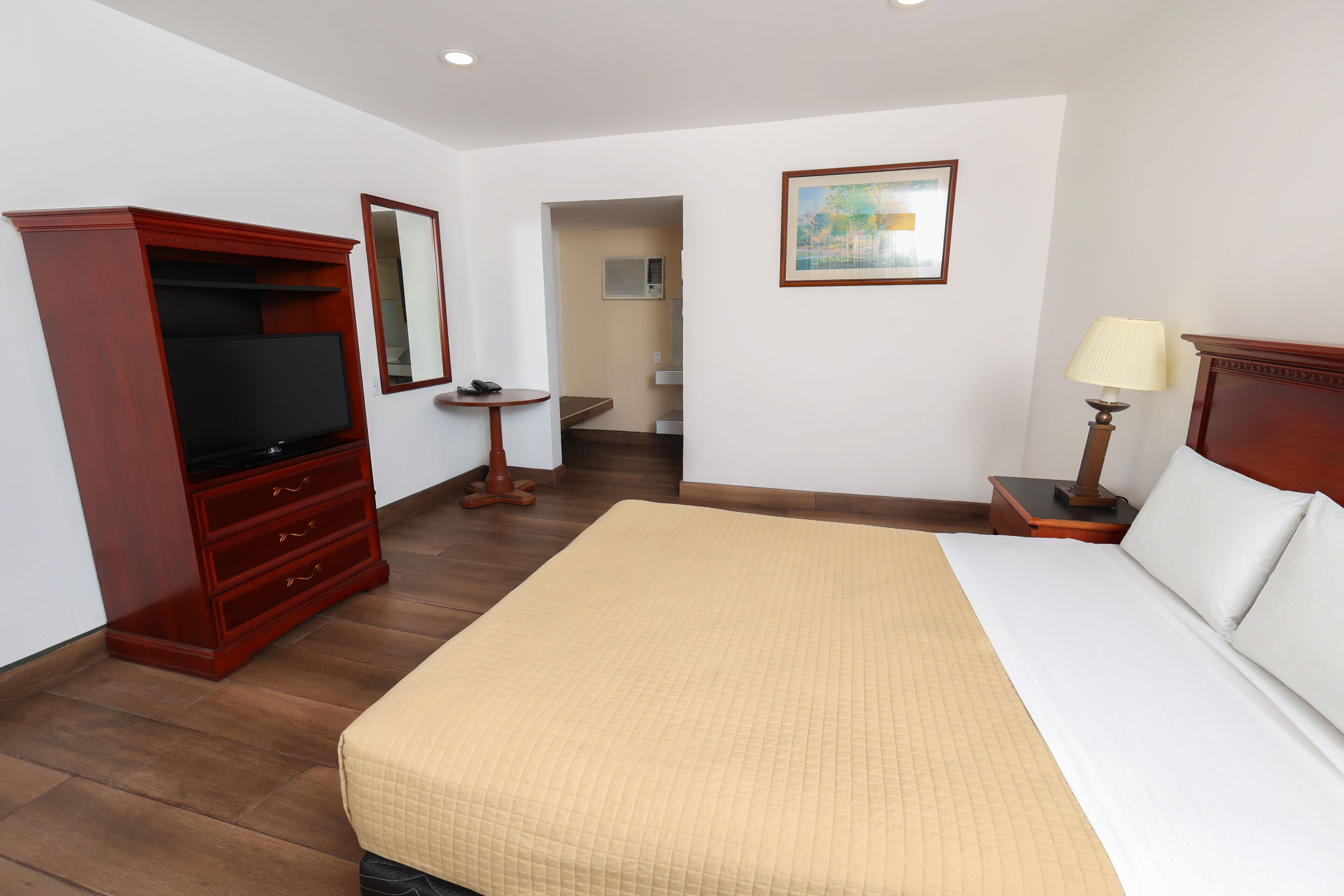 Una camera d'albergo con un letto grande, una televisione, un comò di legno, un comodino con una lampada e un quadro appeso al muro.