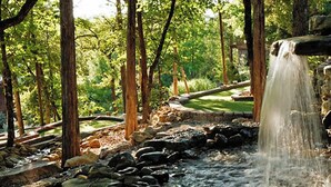 Un élément naturel du paysage, constitué d’une petite cascade, entouré d’arbres et bordé d’un sentier en pierre.