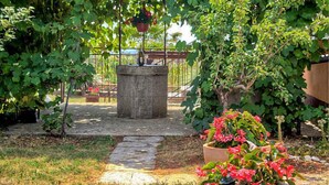A garden with a stone pathway, potted plants, and a metal fence. - Holiday apartment with air conditioning (Maružini)