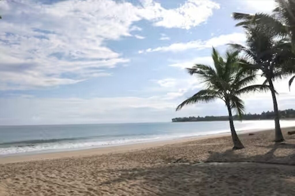 在海滩、白沙、11 间海滩酒吧