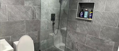 Hair dryer, towels, soap, toilet paper