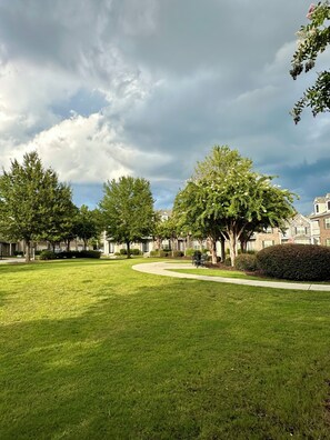 Área da propriedade