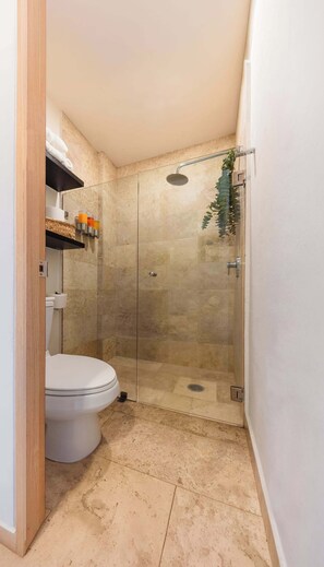 Shower, hair dryer, shampoo - Architectural Condesa Home| Massive Rooftop w/ Gym (Mexico City)