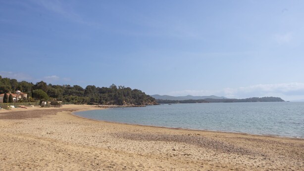 Une plage avec un rivage sablonneux, une mer calme et une colline boisée en arrière-plan.