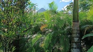 A lush garden with various tropical plants and a mountain in the background. - Villa Mali Arenal La Fortuna La Fortuna Costa Rica Jacuzzi Area (Provincia de Alajuela)
