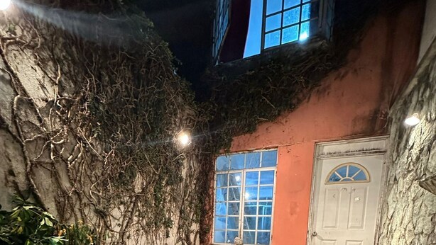 Ein Steinweg führt zu einer Tür mit Fenster, umgeben von Efeu und einem kleinen Garten.