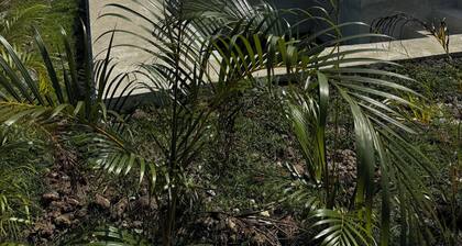 Casa malu malibu villa with private pool near the beach