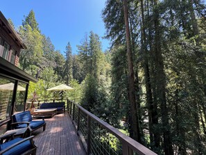 Property grounds - Redwood Treehouse with Hot Tub (Guerneville)