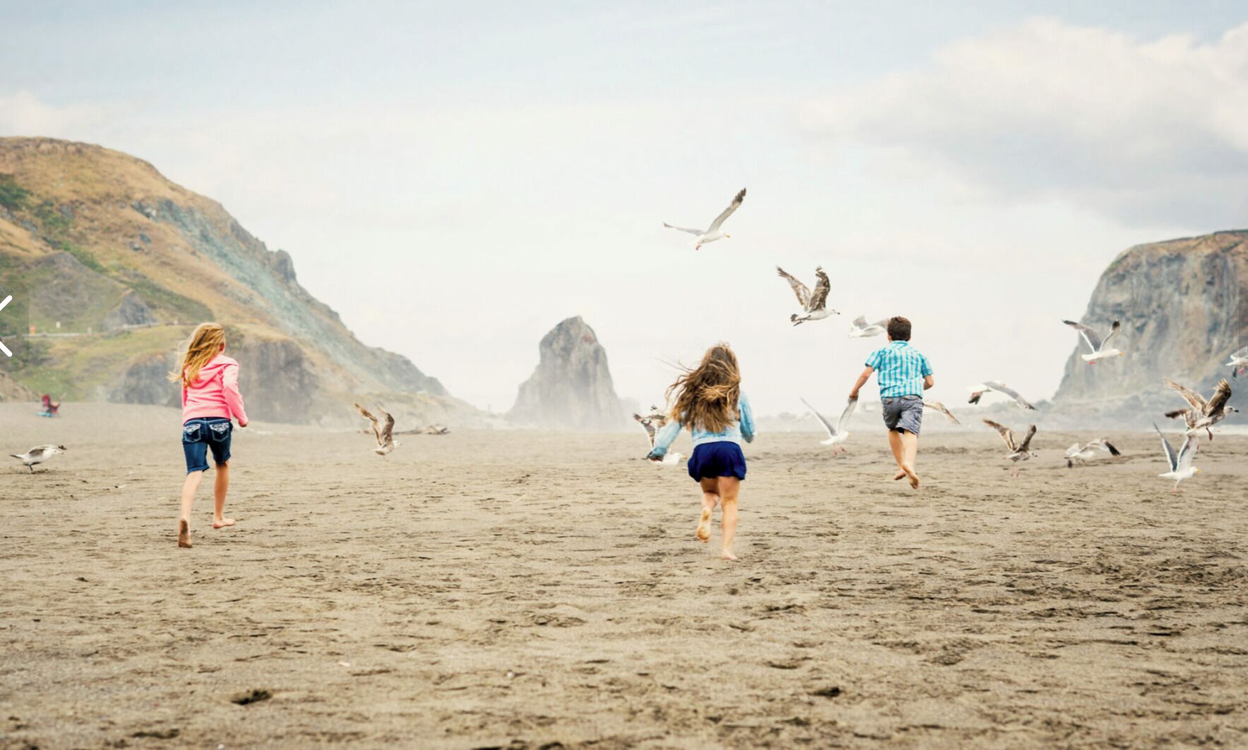 A beach scene with people running and seagulls flying.