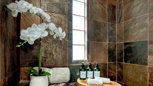 A bathroom with a large window, a potted orchid, and bottles of body wash and shampoo on a wooden stool. - Arcadia Retreat + Resort Yard + Hot Tub + Detached Casita (Phoenix)
