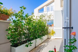 Property grounds - Casa Sotto Bomba  a stone's throw from the sea. (Portoferraio)